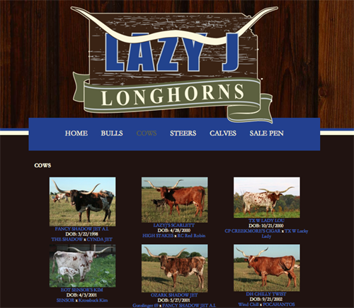 Lazy J Longhorns-herd