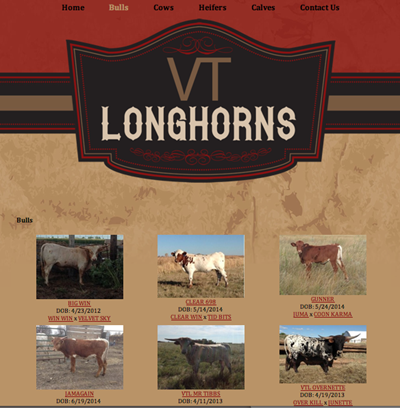 VT Longhorns Herd