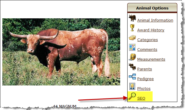 Hired Hand: Highlighting the SEO link.