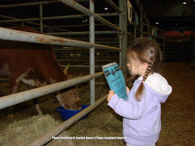 Viewing Longhorns at a sale