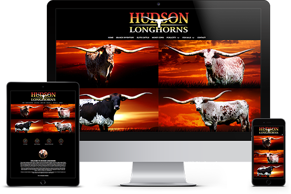Hudson Longhorns