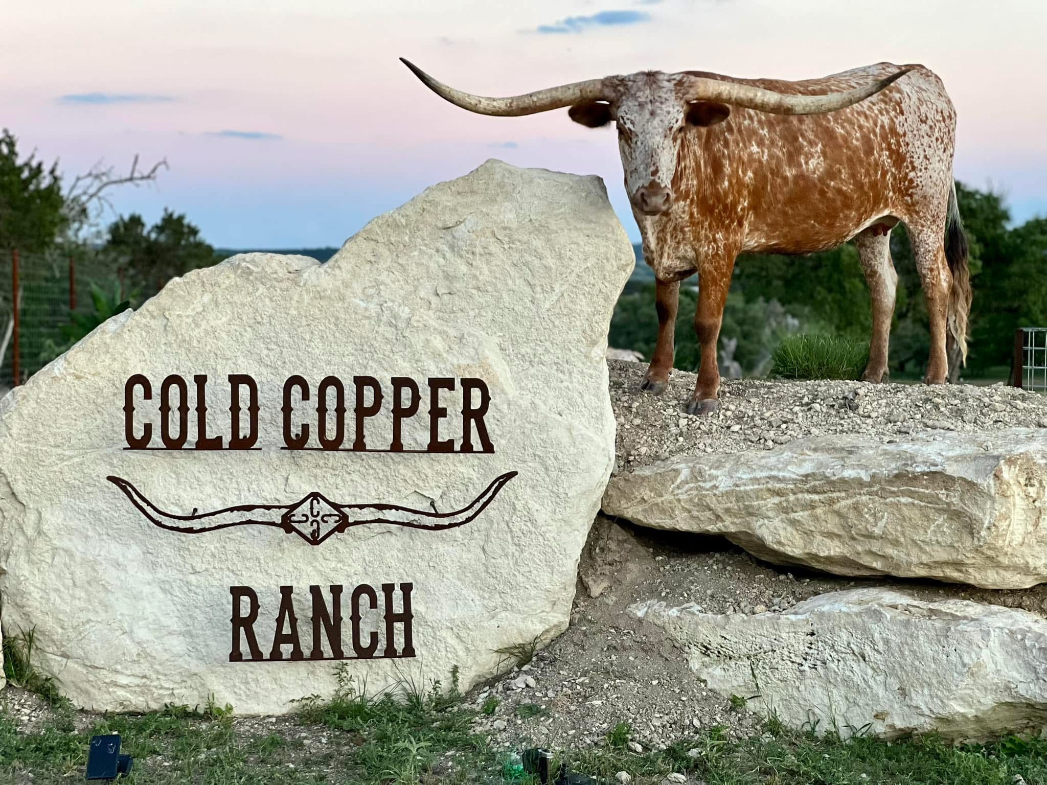 Longhorn Cow Standing Next to Cold Copper Ranch Sign