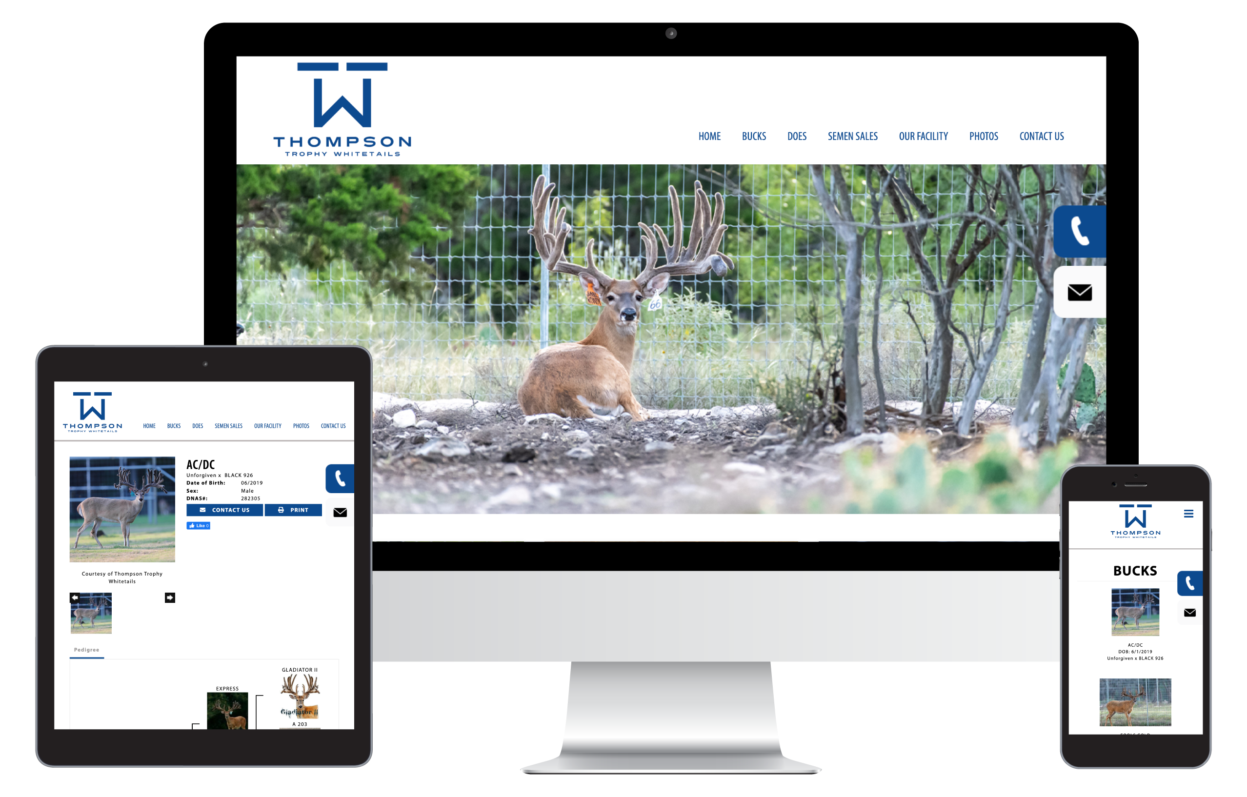 ThompsonWhitetails