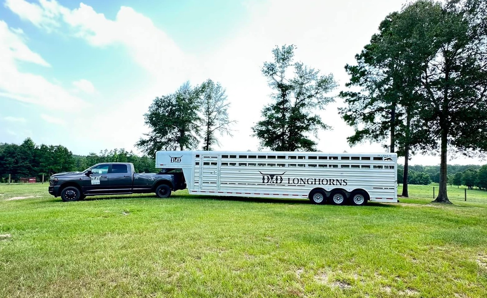 D&D Longhorns Truck and Trailer