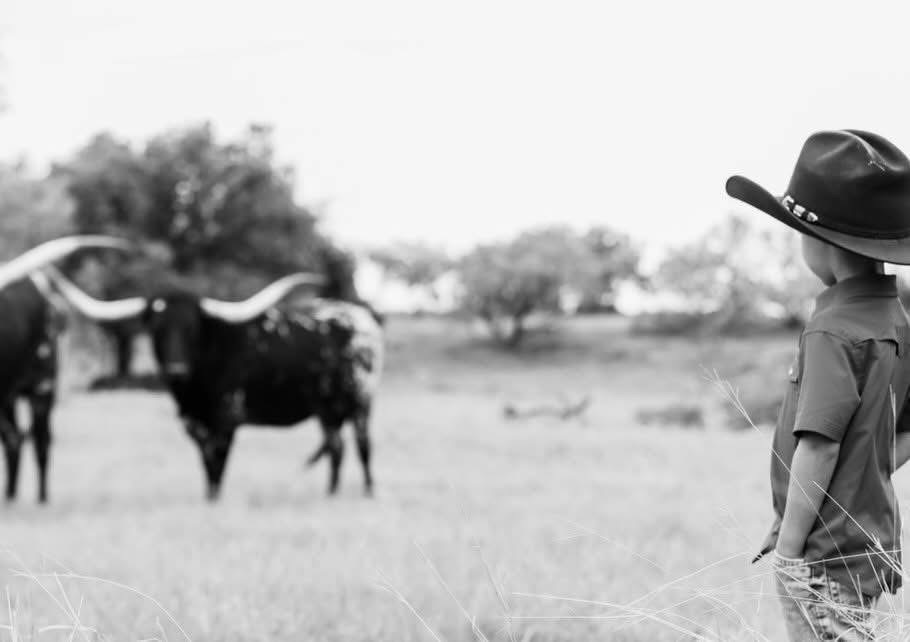 Tanner Evan's Boy Looking Out to the Field of Longhorn Cattle