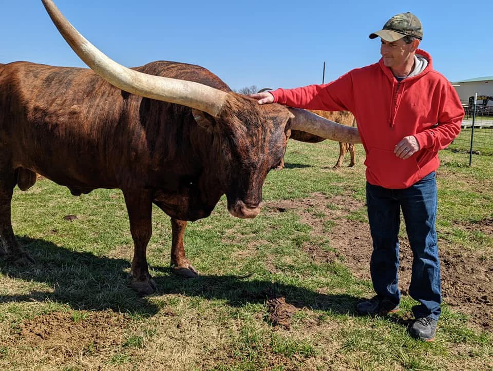 Guy Cote Petting Longhorn Bull in Pasture