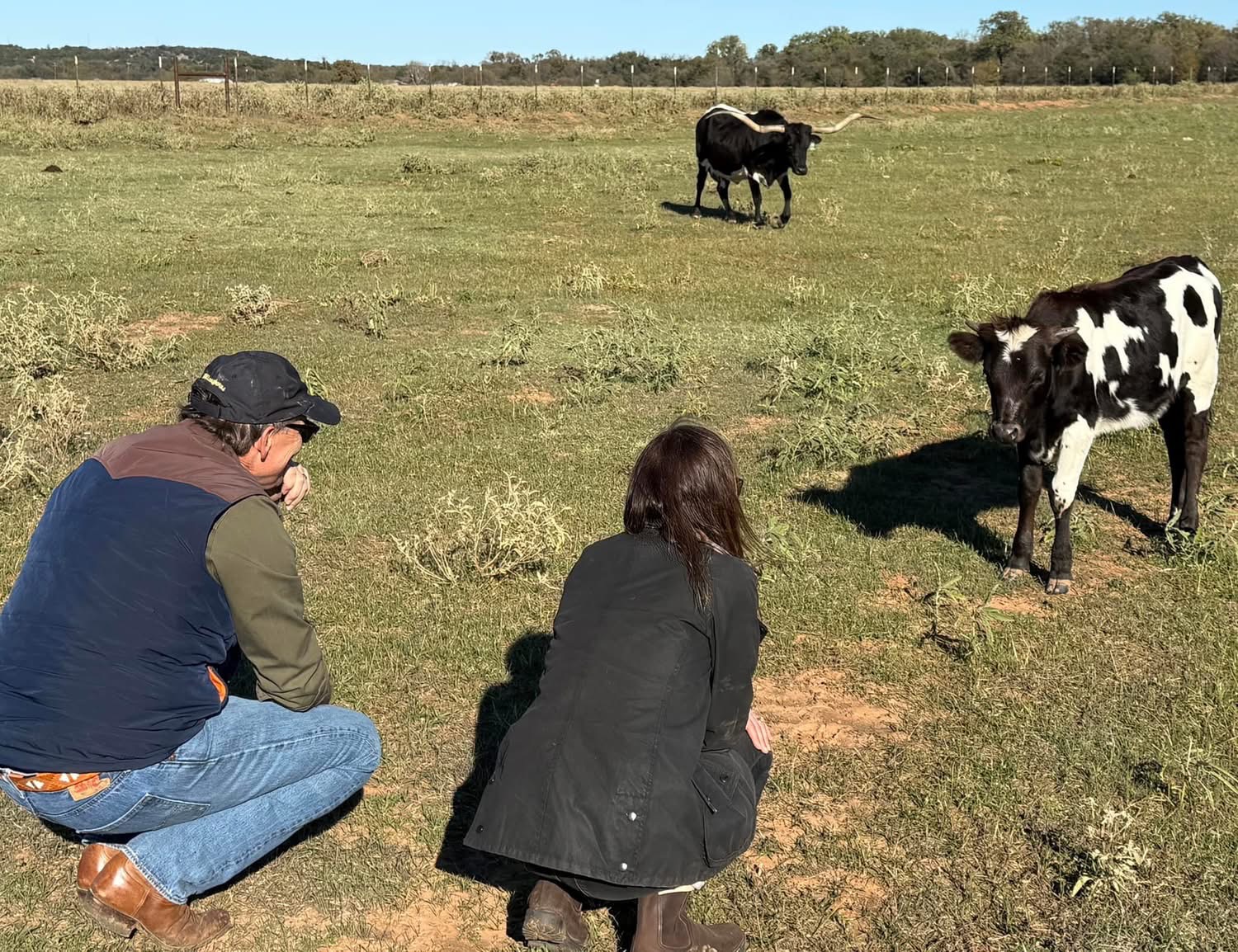 Marshall and Leslie Merritt in the Pasture with Longhorn Cow and Calf