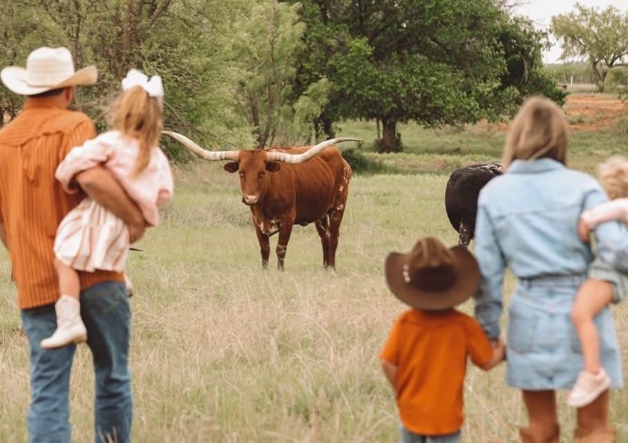Tanner Evan's and Family of Frontier Longhorns Admiring Longhorn Cow, RO Peggy Sue 337