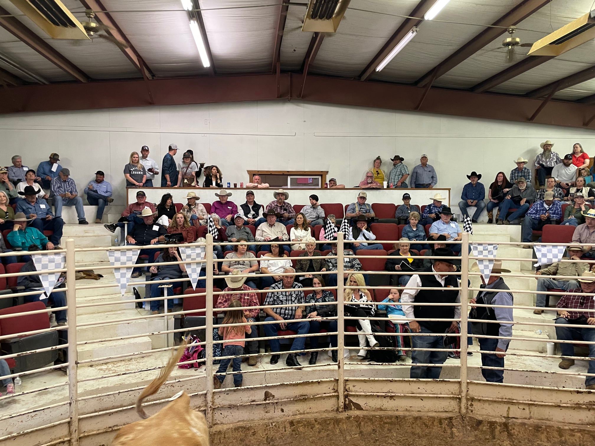 2022 Texoma Sale