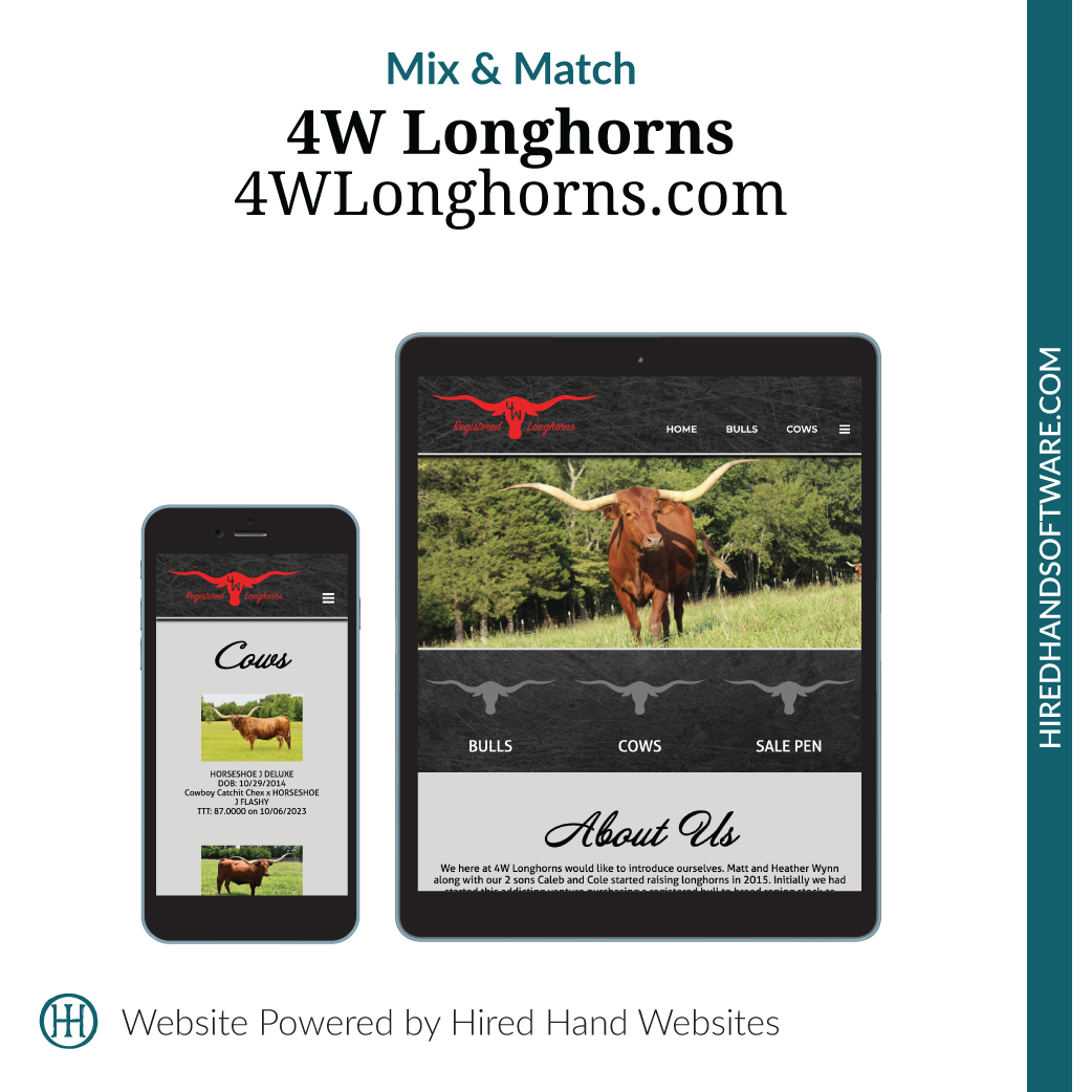4WLonghorns