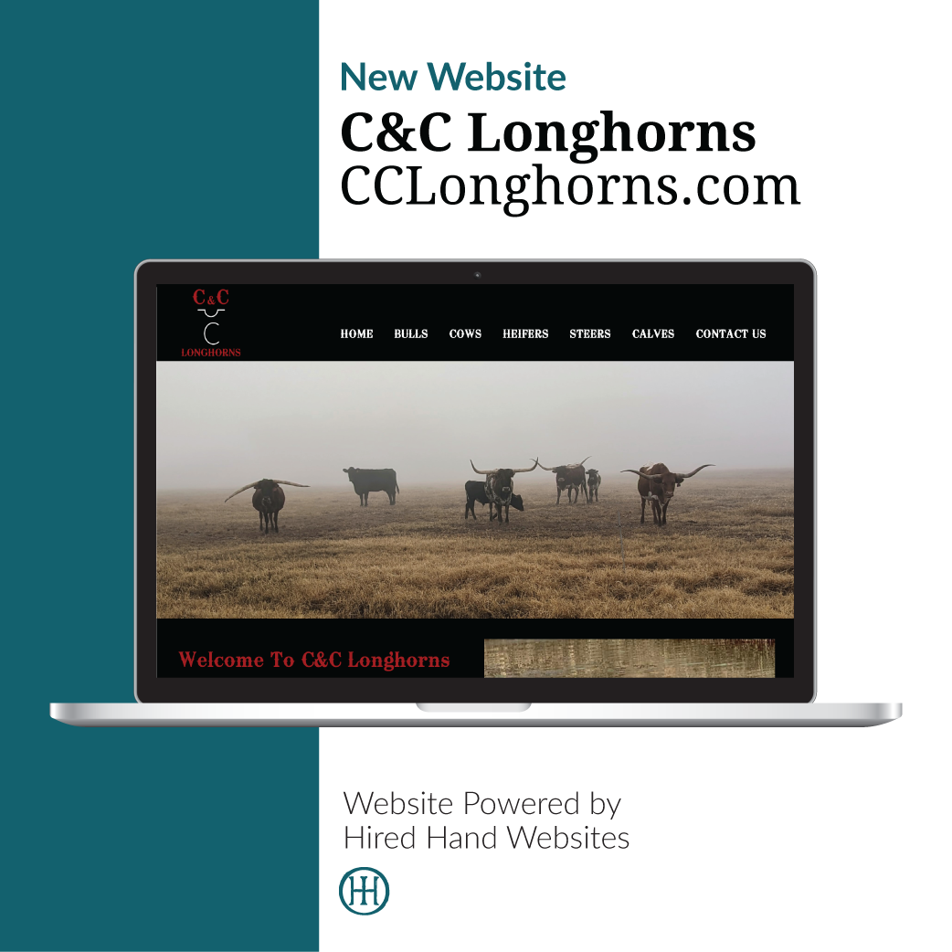 CCLonghorns