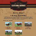 Elite Bulls image Eilte Bulls image