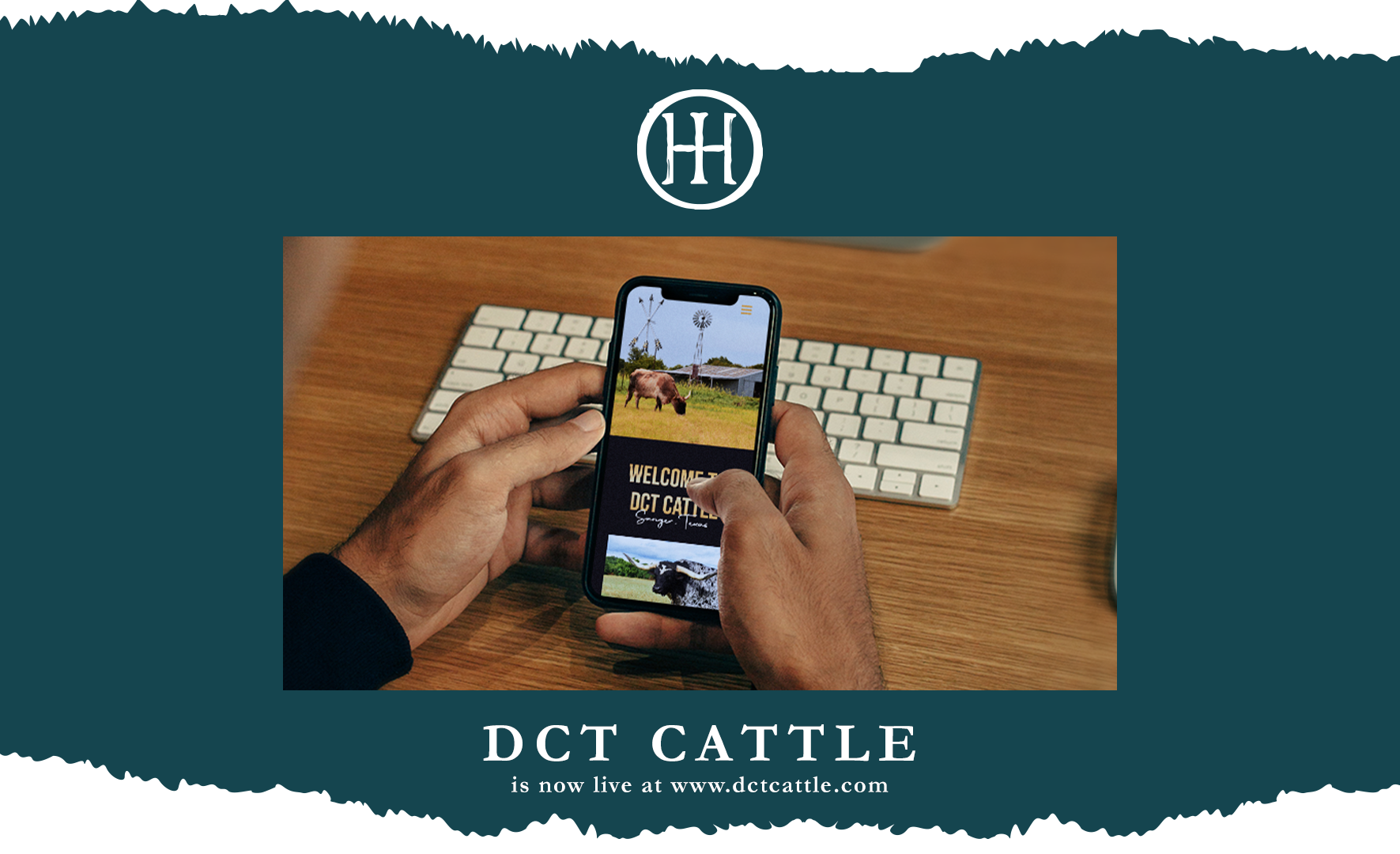 DCTCattle