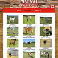McKay site McKay site