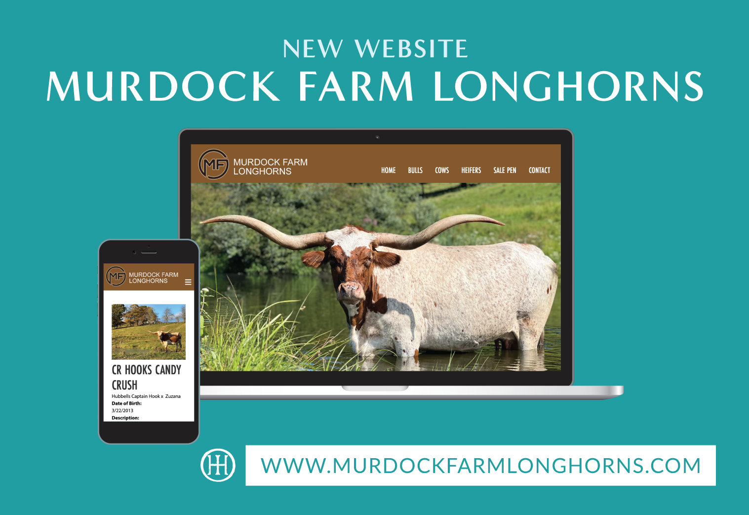 New site Murdock Farm Longhorns