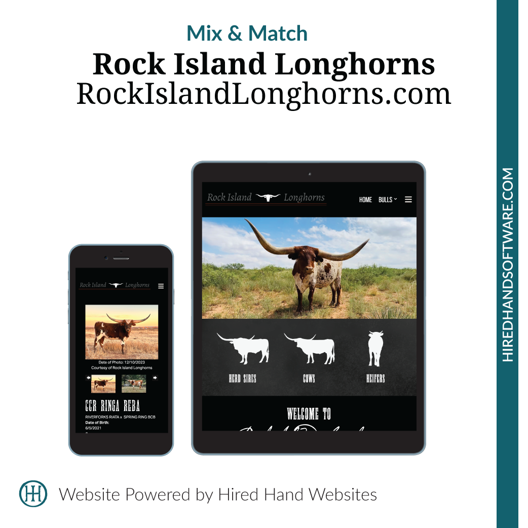 RockIslandLonghorns