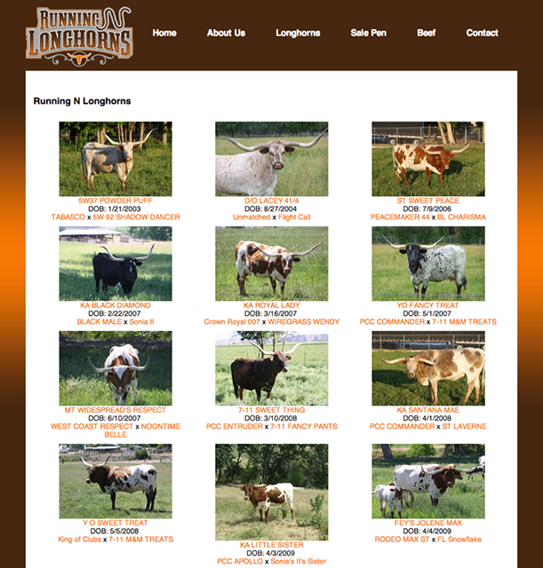 Running N Longhorns Website