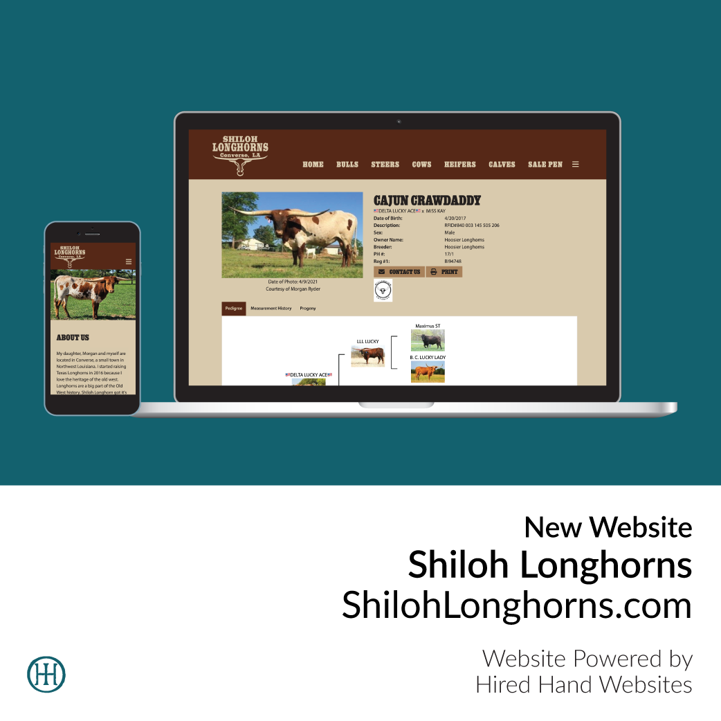 ShilohLonghorns