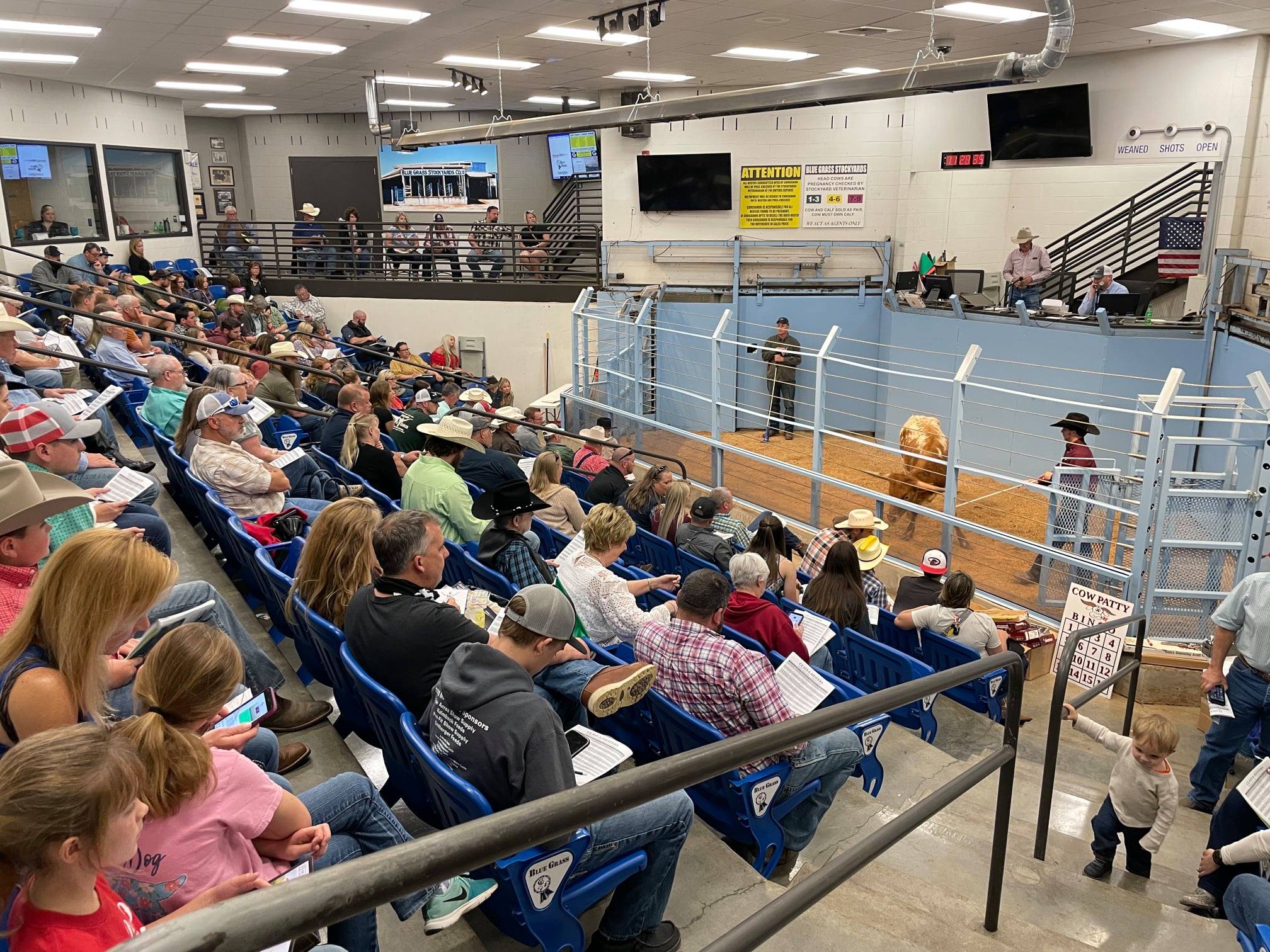Southeastern Futurity with a full house