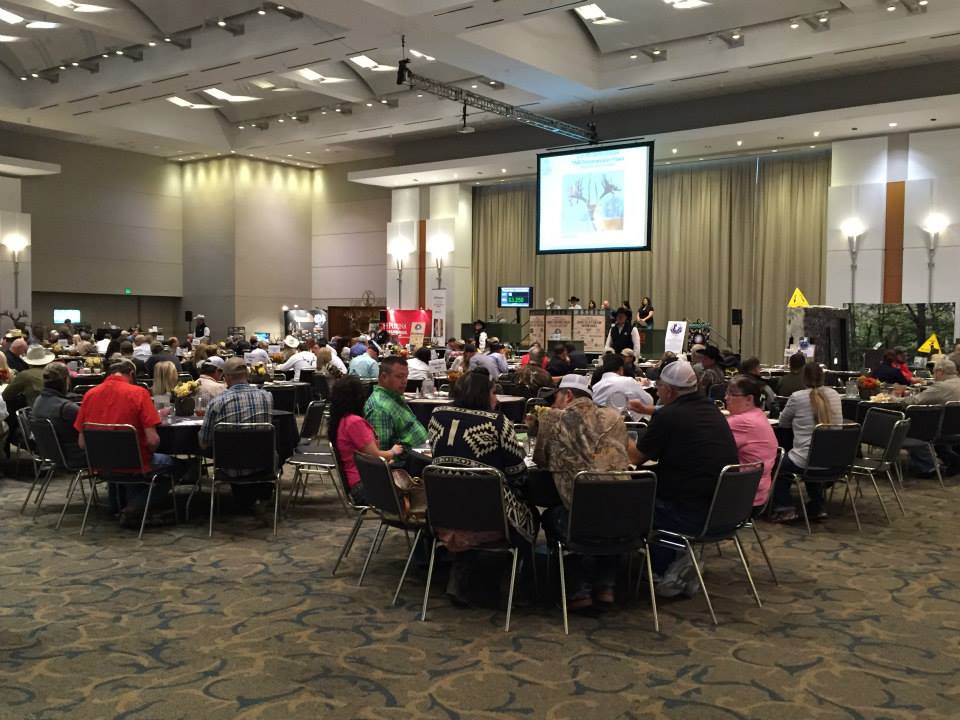 TDA's PAC Gala/Superior Genetics Whitetail Deer Sale TDA's PAC Gala/Superior Genetics Whitetail Deer Sale onlookers