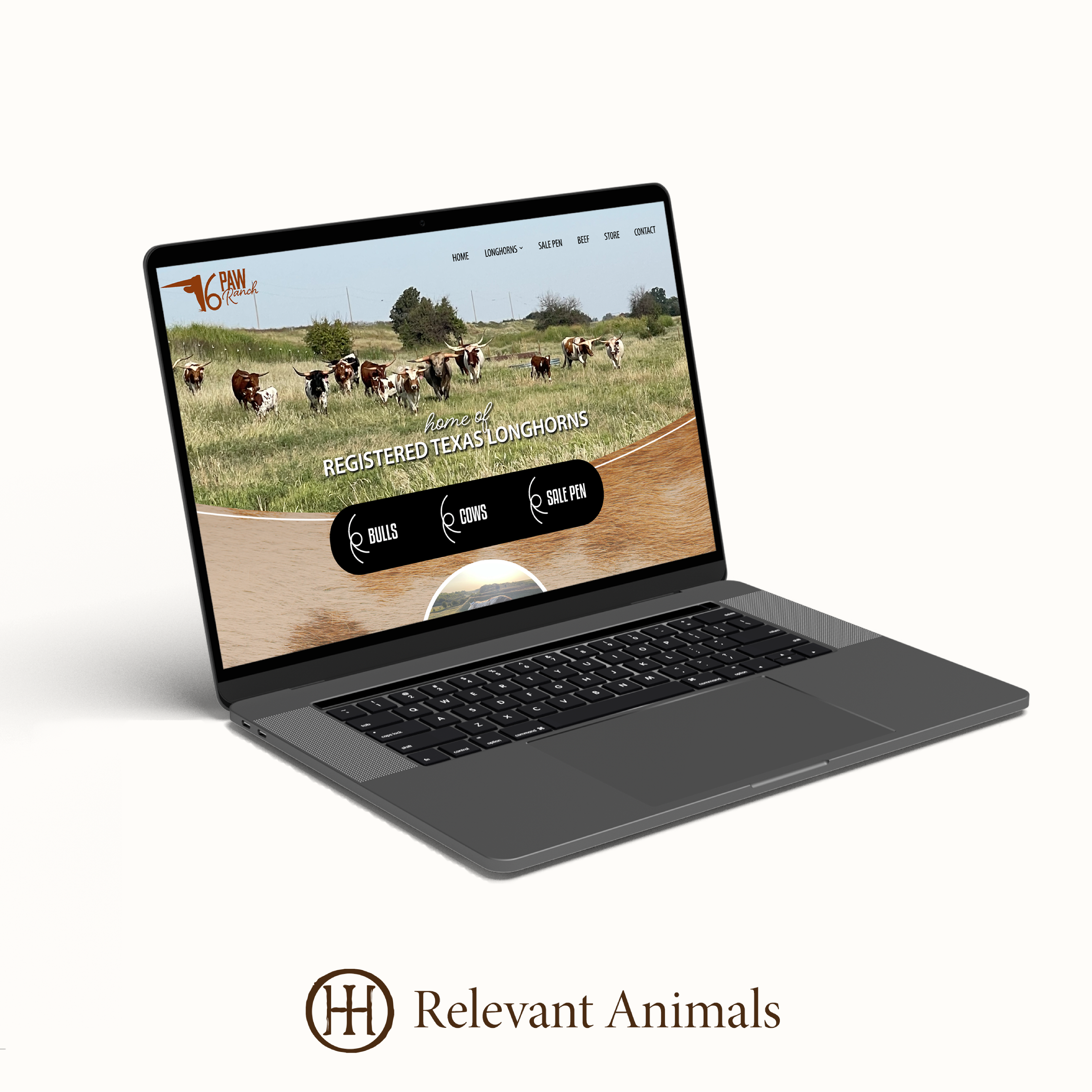 The 6 Paw Ranch