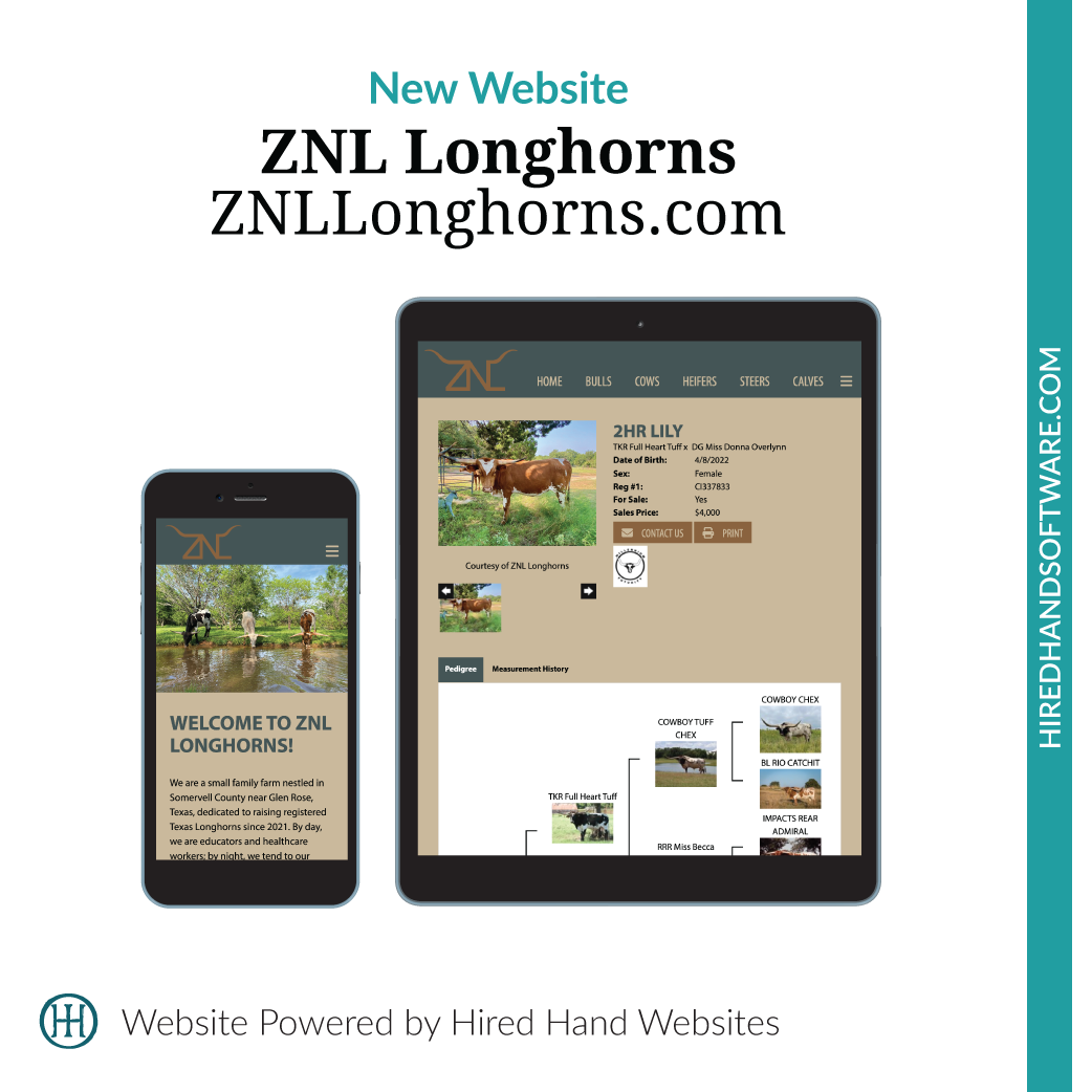 ZNLLonghorns