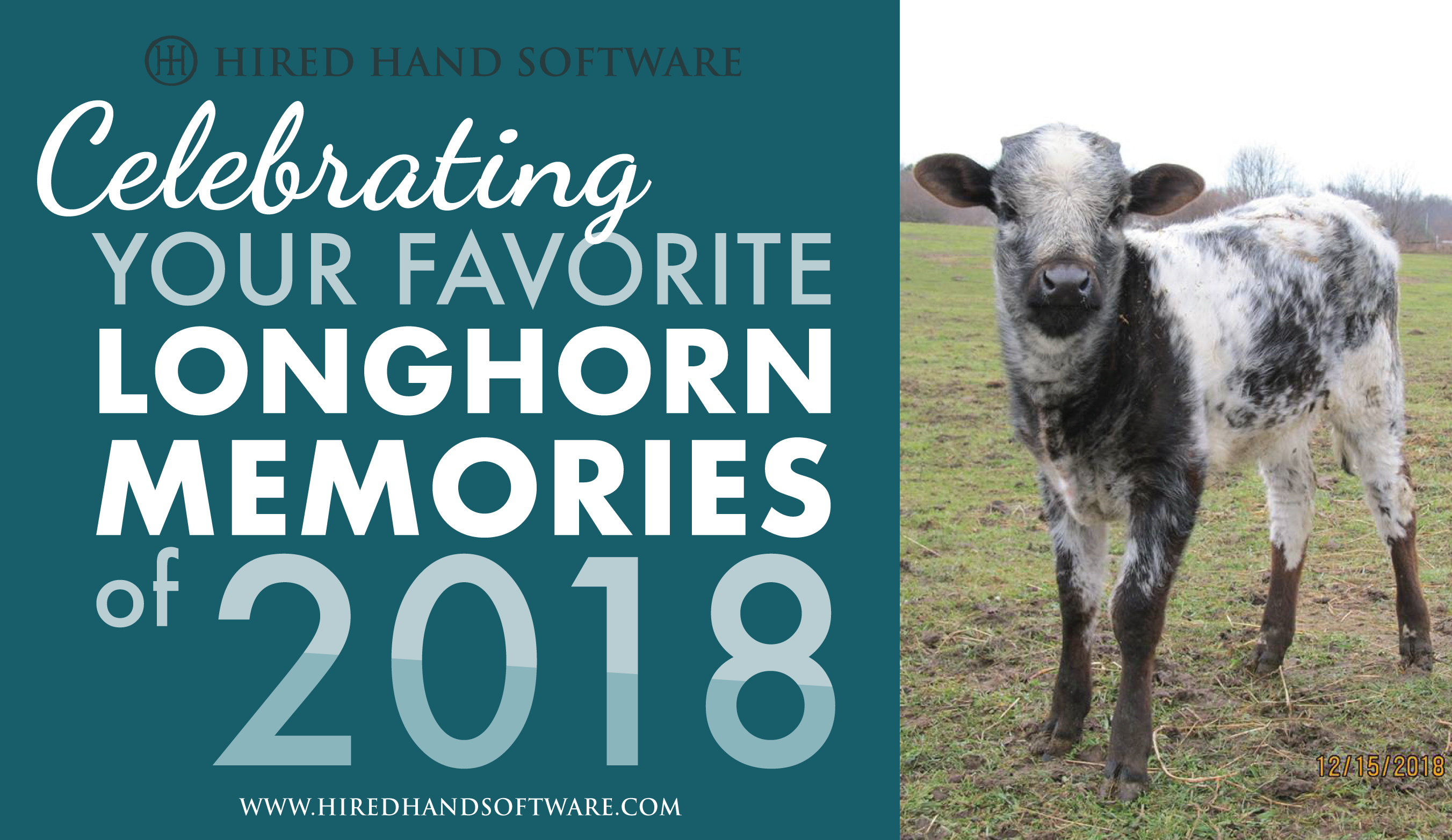 2018 memories blog_images-02