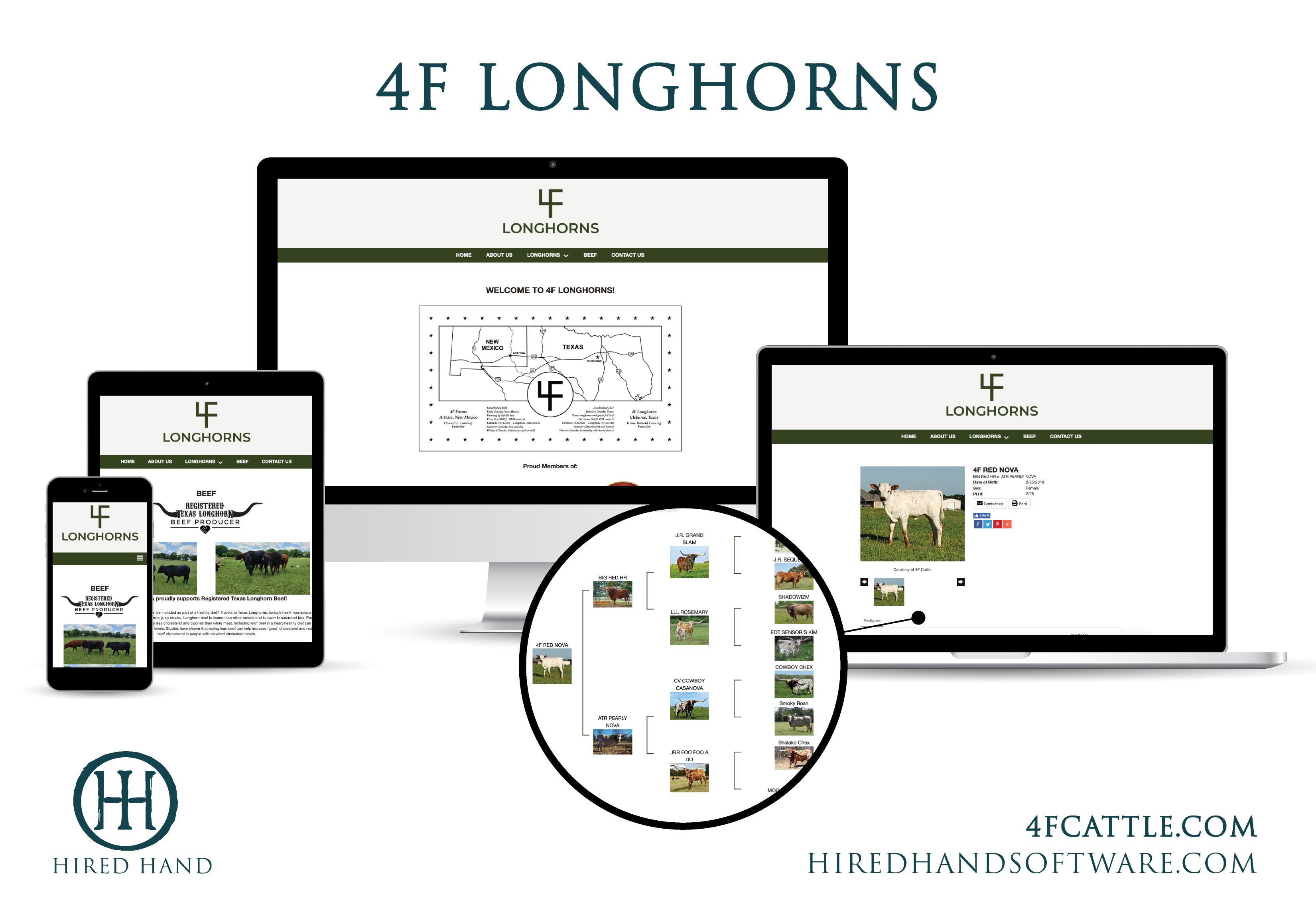 4FLonghorns_WebsiteLaunch-01