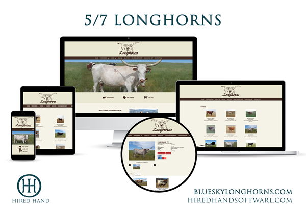 5-7_WebsiteLaunch-01 5-7_WebsiteLaunch-01
