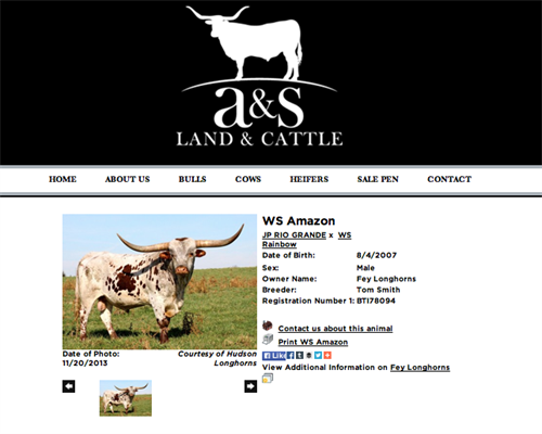 A&S Land & Cattle animal