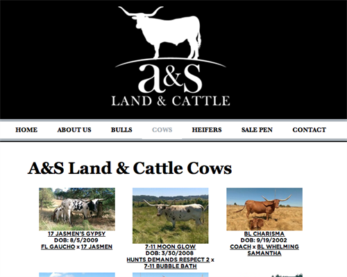 A&S Land & Cattle herd