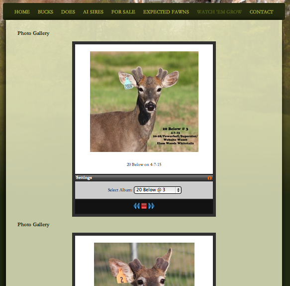 Antler Growth page