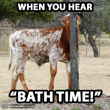 BathTime-HiredHand