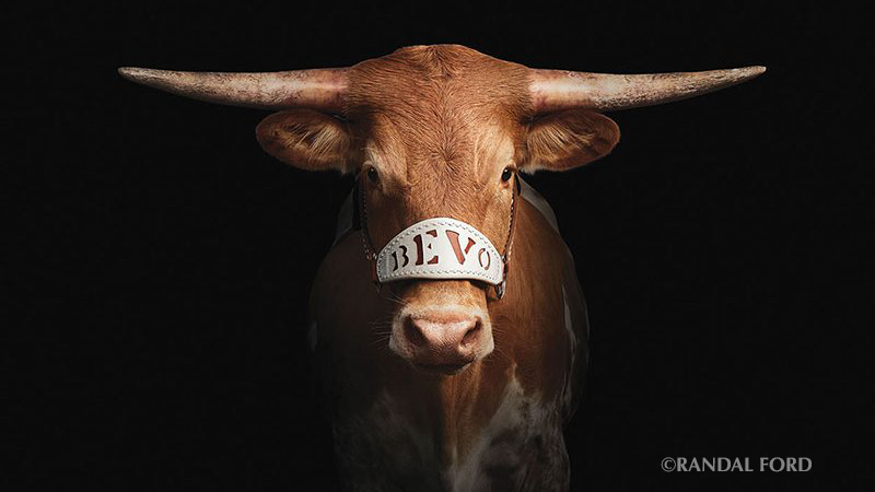 BEVOXV BEVOXV