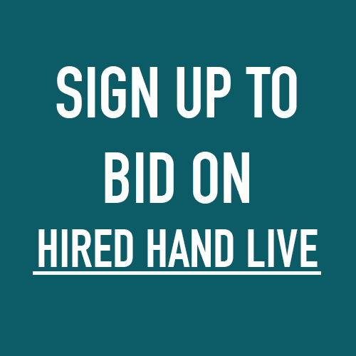 Bid-on-line