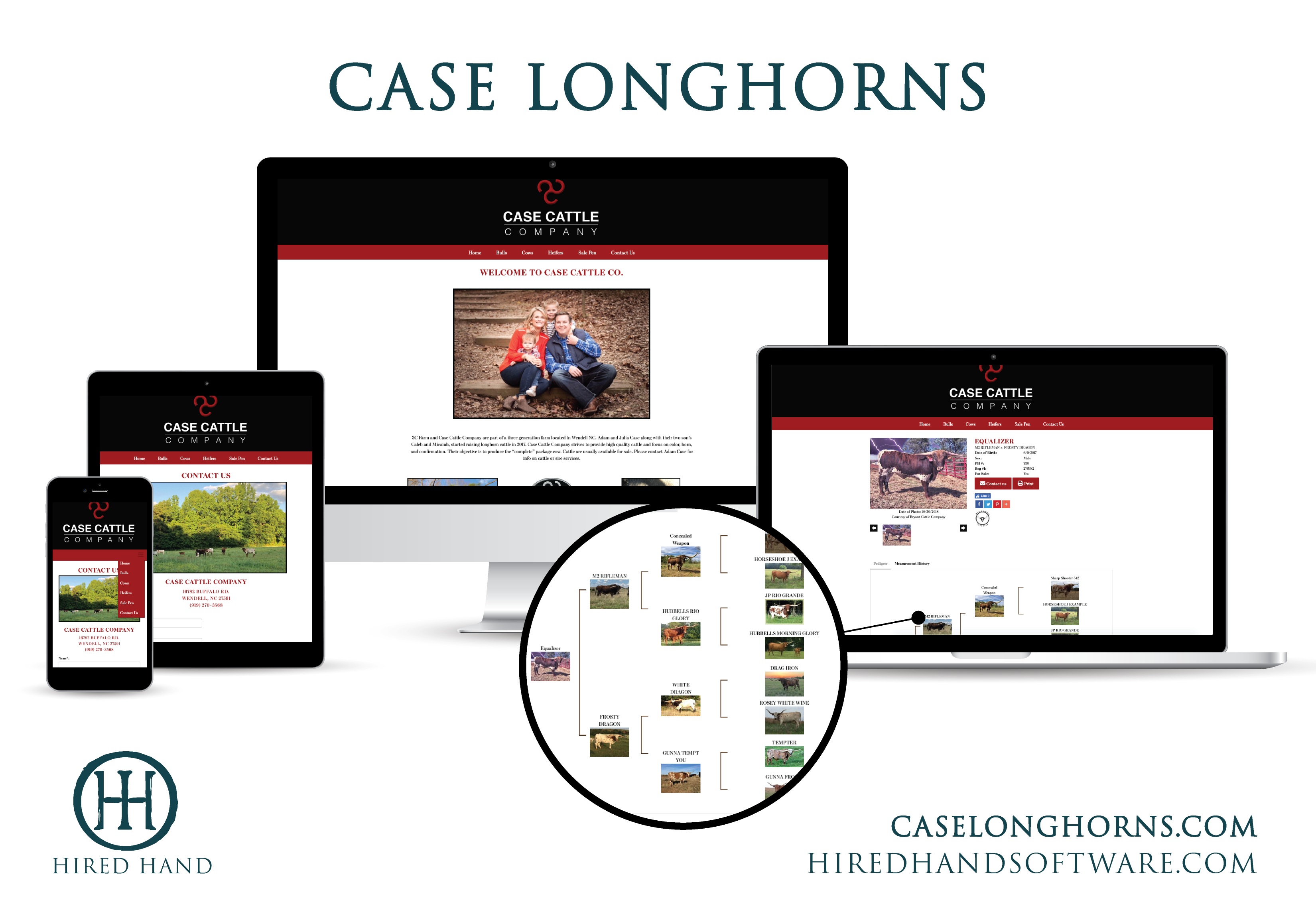 CaseLonghorns-01