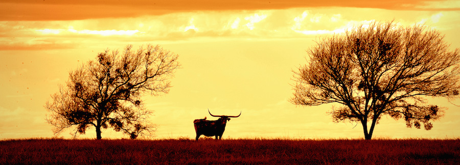 Circle K Ranch