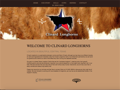 Clinard Longhorns