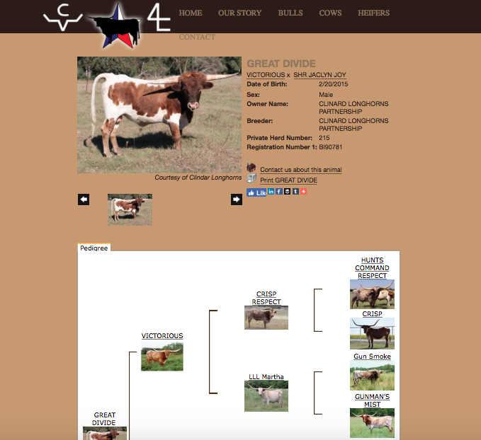 Clinard Longhorns