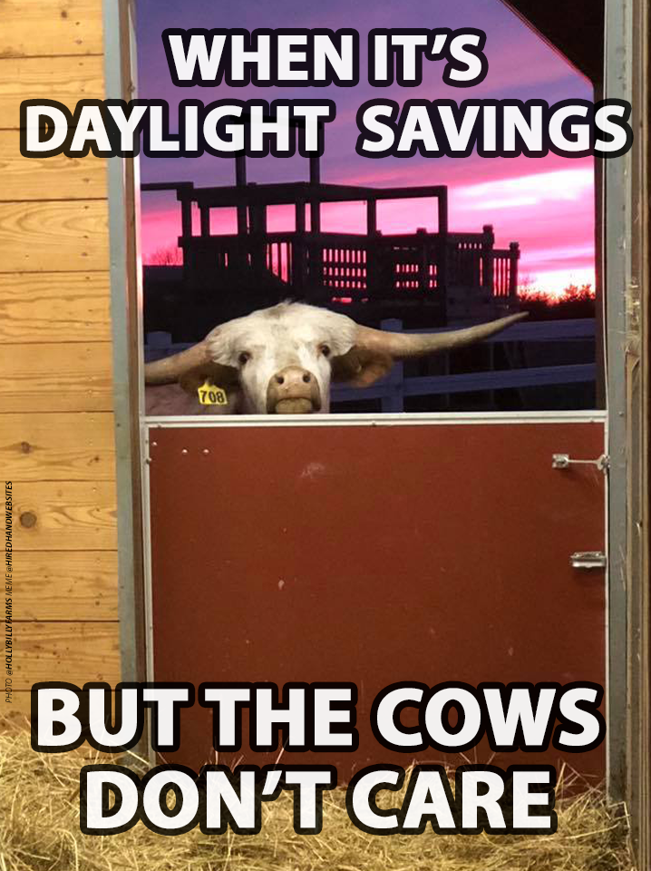 DaylightSavings-HiredHand