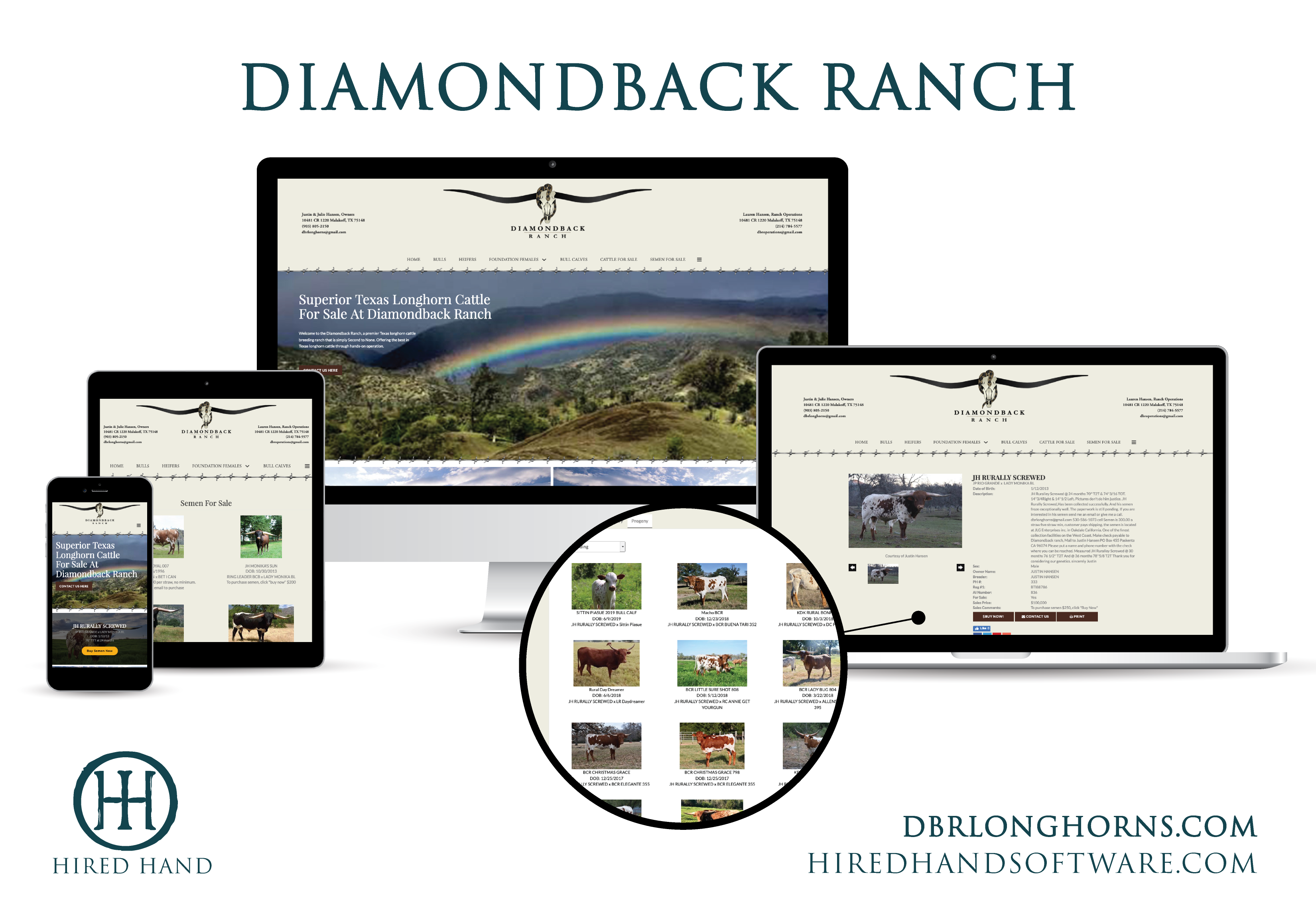 DBR_WebsiteLaunch-01