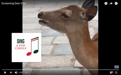 Deer Screaming