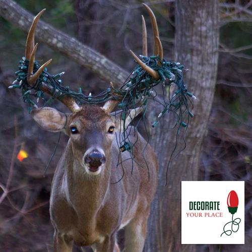 Deer with Christmas lights