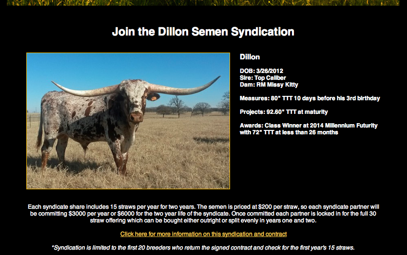 Dillon info