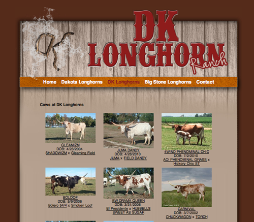 DK Longhorn Ranch Herd