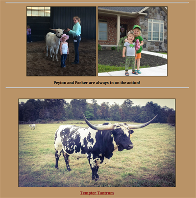 Double H Ranch Home Page photos Double H Ranch Home Page photos