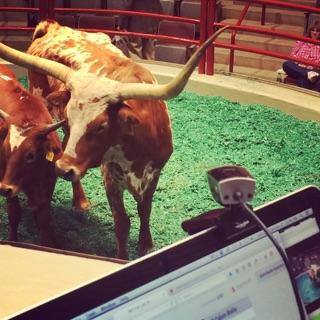 Eddie Woods Cowtown Classic