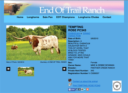 End of Trail Ranch
