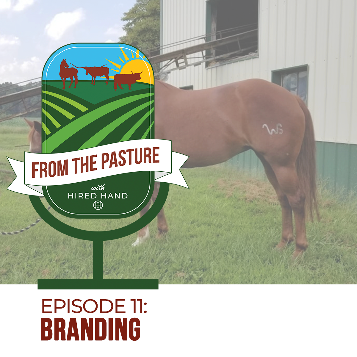 Episode11-blog
