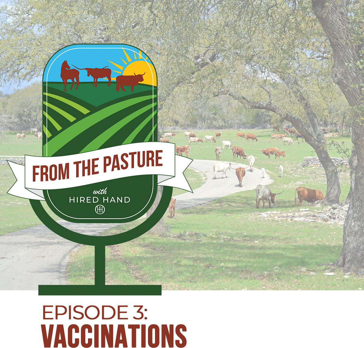 Episode3-blog